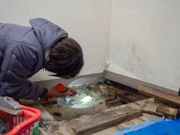 Best Water Damage & Mold Remediation  in Cayuga Heights, NY