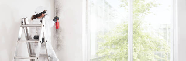 Best Indoor Air Quality Assessment  in Cayuga Heights, NY