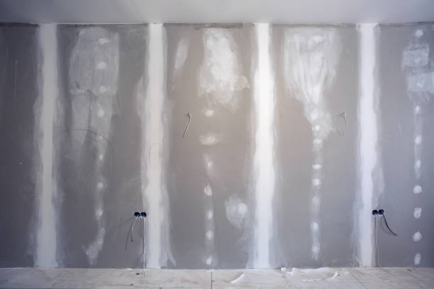 Best Dehumidification Services  in Cayuga Heights, NY